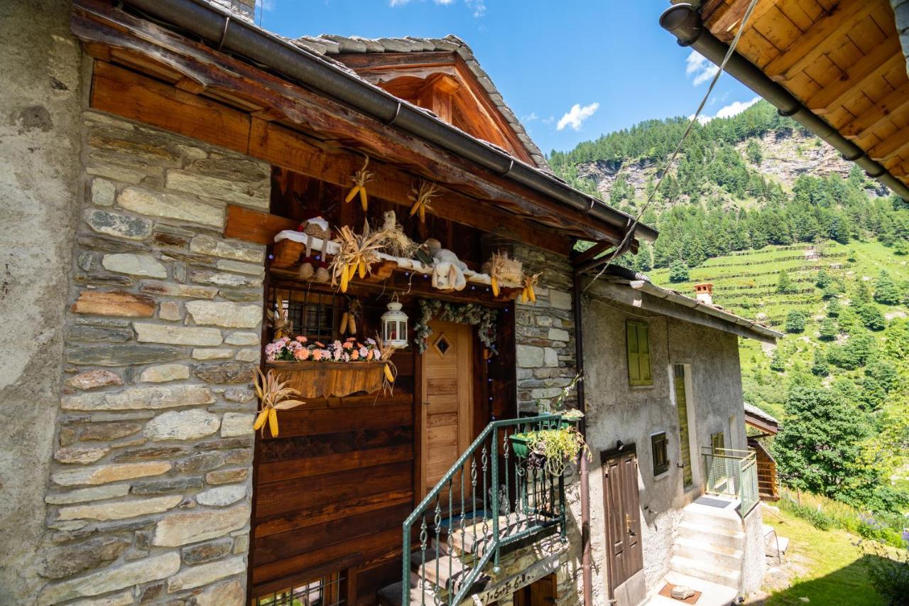 Delle Bambole - La Vista * Isola (Lombardy)